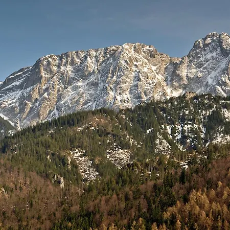 Sywarne Deluxe Косцелиско